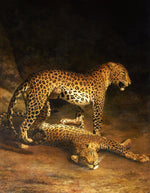 Two Leopards Lying in the Exeter, vintage artwork by Jacques-Laurent Agasse, 12x8" (A4) Poster