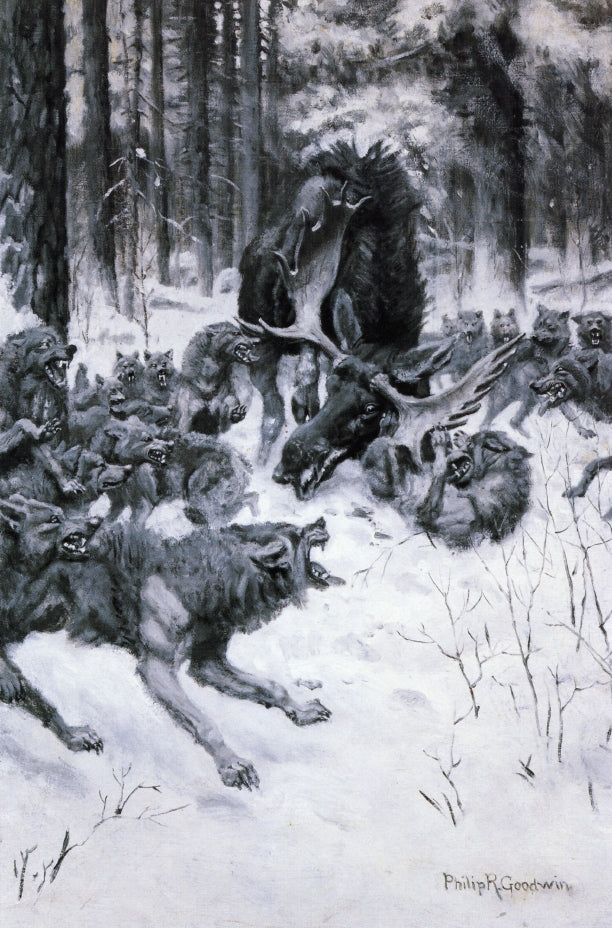 The Battle of the Strong and the Cunning, vintage artwork by Philip R. Goodwin, 12x8" (A4) Poster
