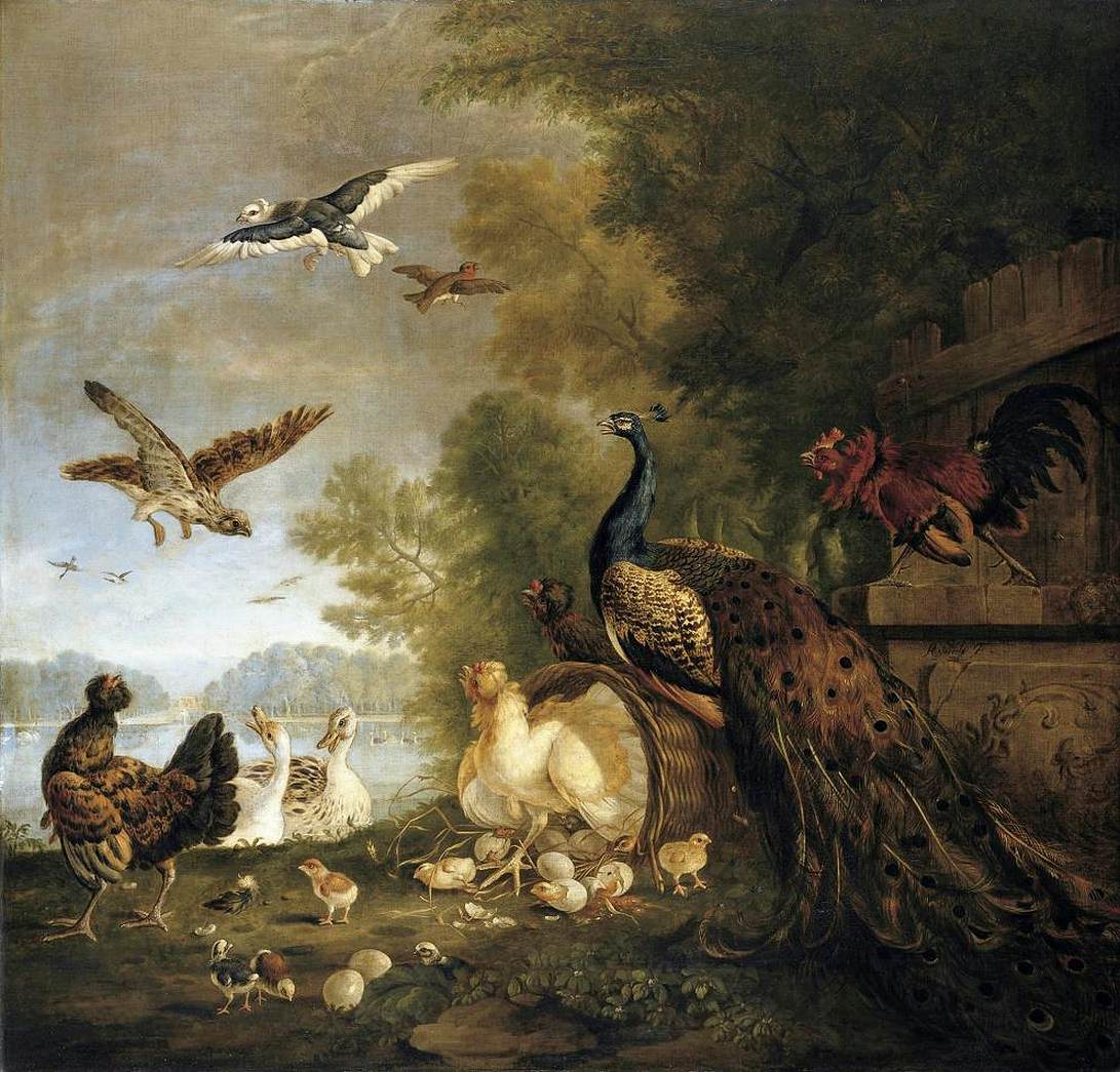 Birds in Parkland Setting, vintage artwork by Pieter Casteels, 12x8" (A4) Poster