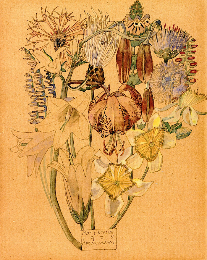 Mont Louis, Flower Study by Charles Rennie MacKintosh,A3(16x12
