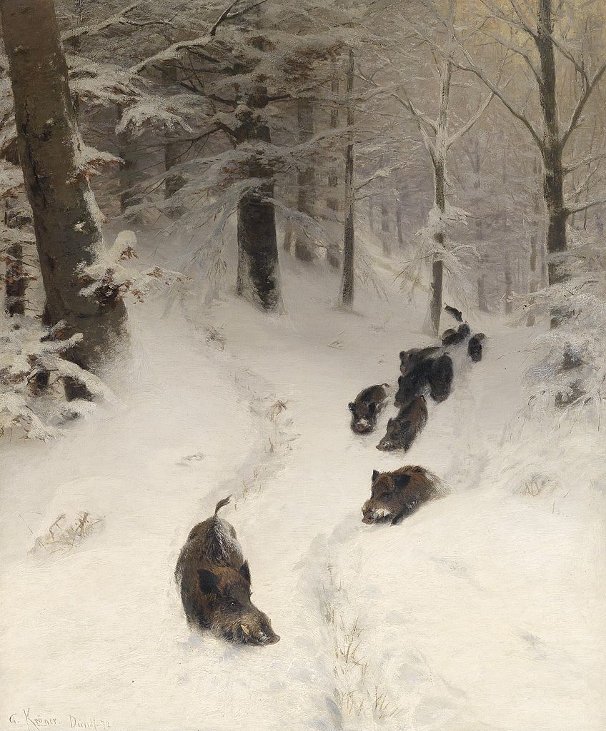 Boars in winter forest, vintage artwork by Christian Johann Kroner, 12x8" (A4) Poster