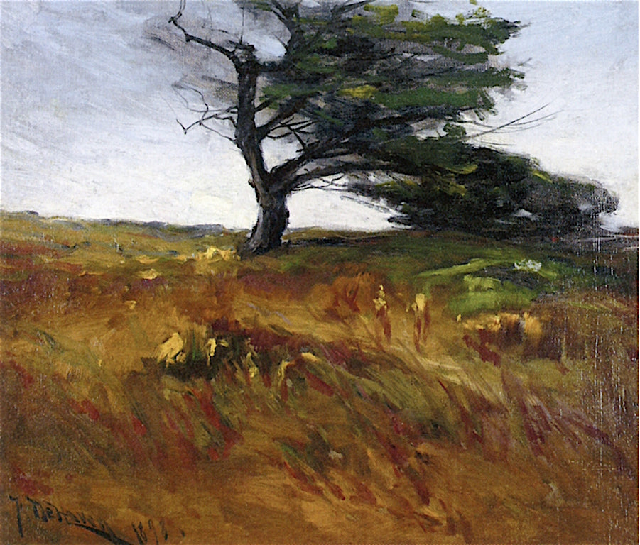 Windblown Meadow by Franklin de Haven,A3(16x12")Poster