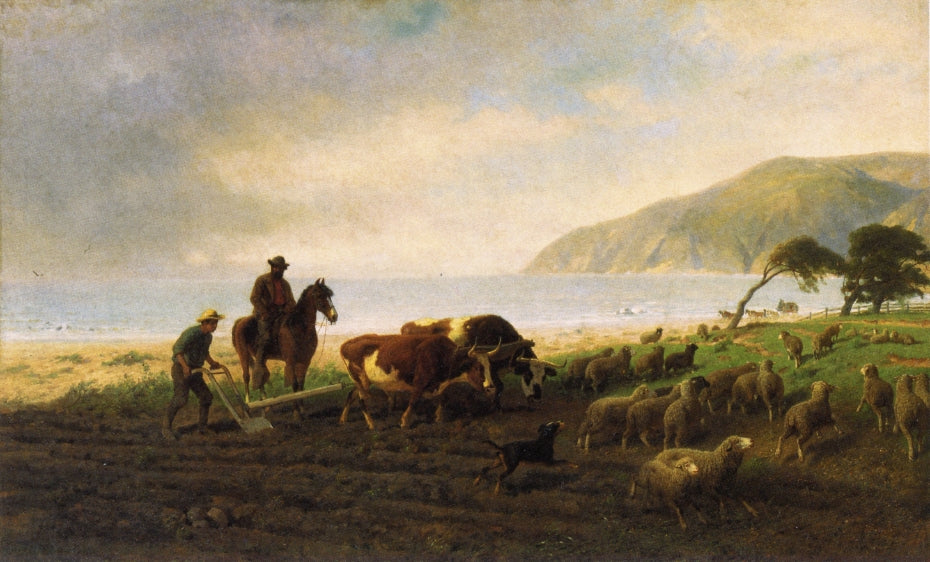 David Jacks on Horseback, Monterey Peninsula, vintage artwork by William Hahn, 12x8" (A4) Poster