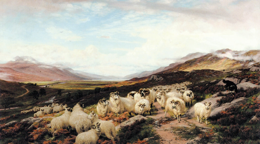 Gathering the Flocks, Loch Maree, vintage artwork by Henry William Banks Davis, R.A., 12x8" (A4) Poster