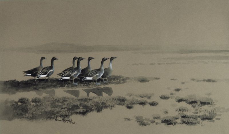 Wild Geese at the Lake, vintage artwork by Bruno Liljefors, 12x8" (A4) Poster