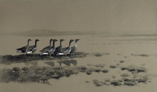 Wild Geese at the Lake, vintage artwork by Bruno Liljefors, 12x8" (A4) Poster