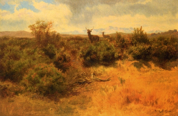 Stag and Doe in a Landscape, vintage artwork by Rosa Bonheur, 12x8" (A4) Poster