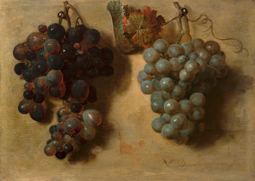 Two bunches of Grapes, vintage artwork by Nicolas de Largillière, 12x8" (A4) Poster