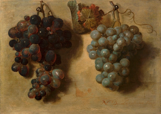 Two bunches of Grapes, vintage artwork by Nicolas de Largillière, 12x8" (A4) Poster