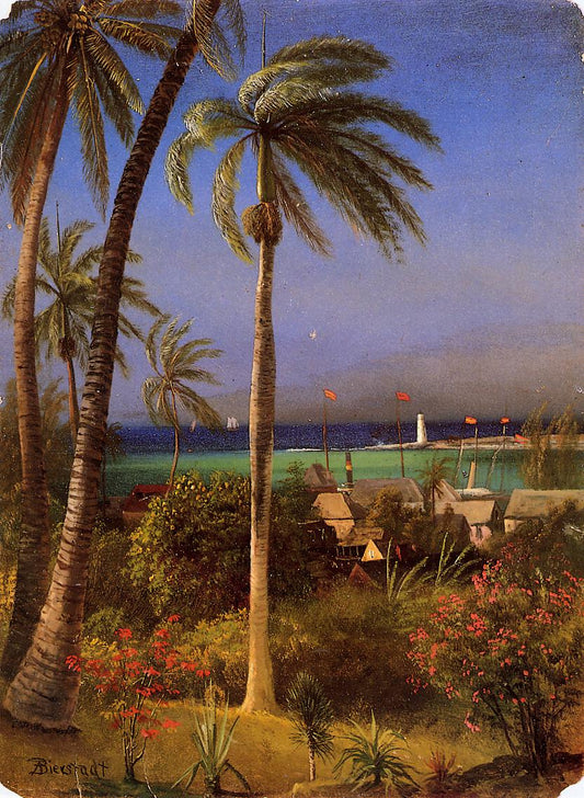 Bahamian View, vintage artwork by Albert Bierstadt, 12x8" (A4) Poster
