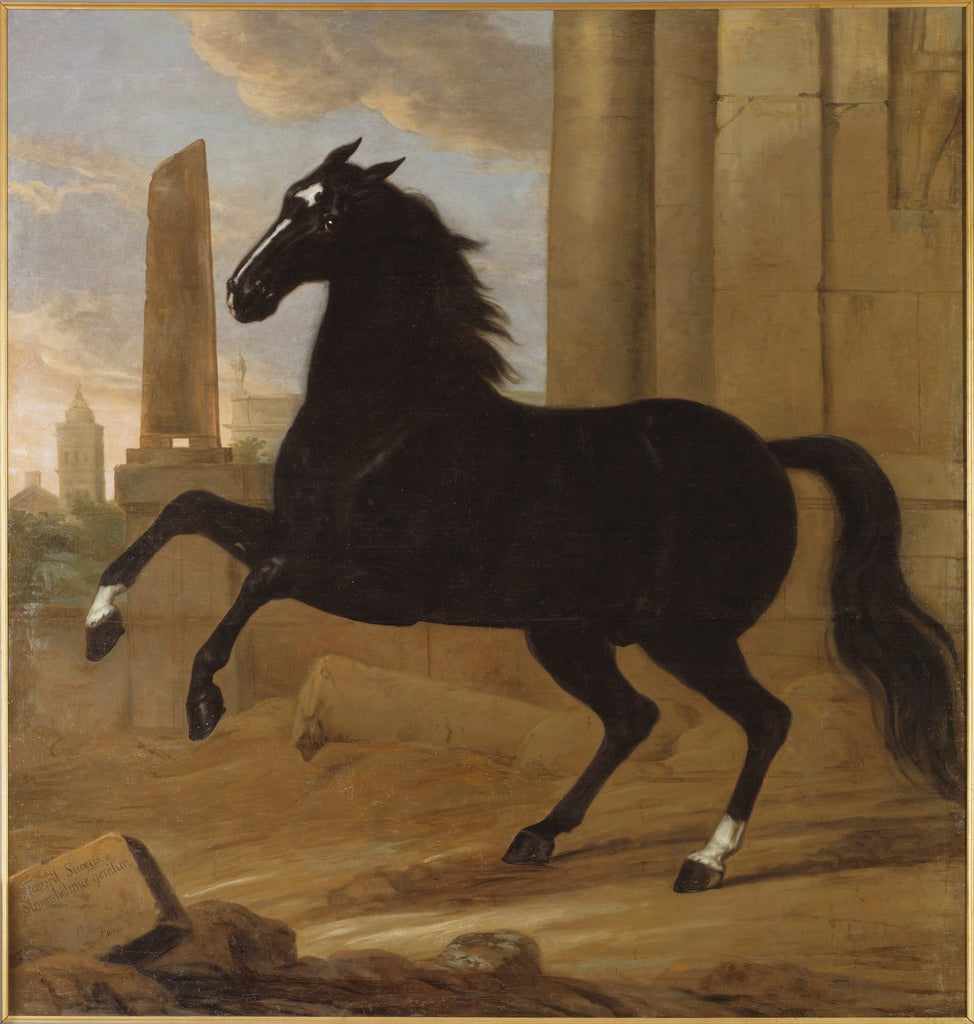 Favourite, one of King Karl XI's riding horses, vintage artwork by David Klocker Ehrenstrahl, 12x8" (A4) Poster