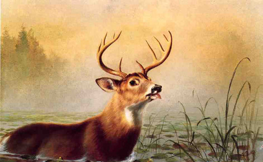 Misty Morning Stag, vintage artwork by Arthur Fitzwilliam Tait, A3 (16x12") Poster Print