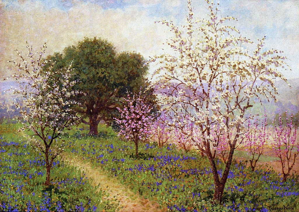 Almond Blossoms, Los Gatos by Theodore Wores,A3(16x12")Poster