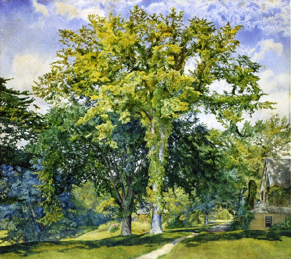 Study of Elms, vintage artwork by Henry Roderick Newman, 12x8" (A4) Poster