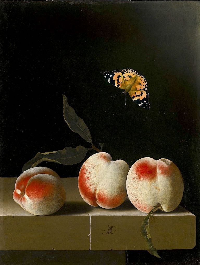 Still Life with Three Peaches on a Stone Ledge and a Butterfly, vintage artwork by Adriaen Coorte, 12x8" (A4) Poster