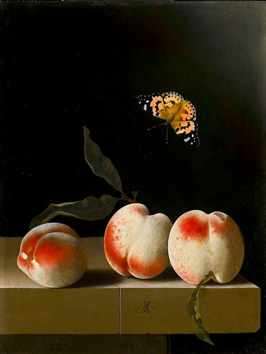 Still Life with Three Peaches on a Stone Ledge and a Butterfly, vintage artwork by Adriaen Coorte, 12x8" (A4) Poster