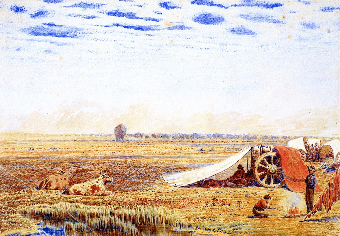 Buffalo Magnified by  Mirage, vintage artwork by William George Richardson Hind, 12x8" (A4) Poster