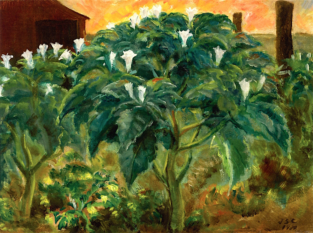 Night Flower by John Steuart Curry,16x12(A3) Poster