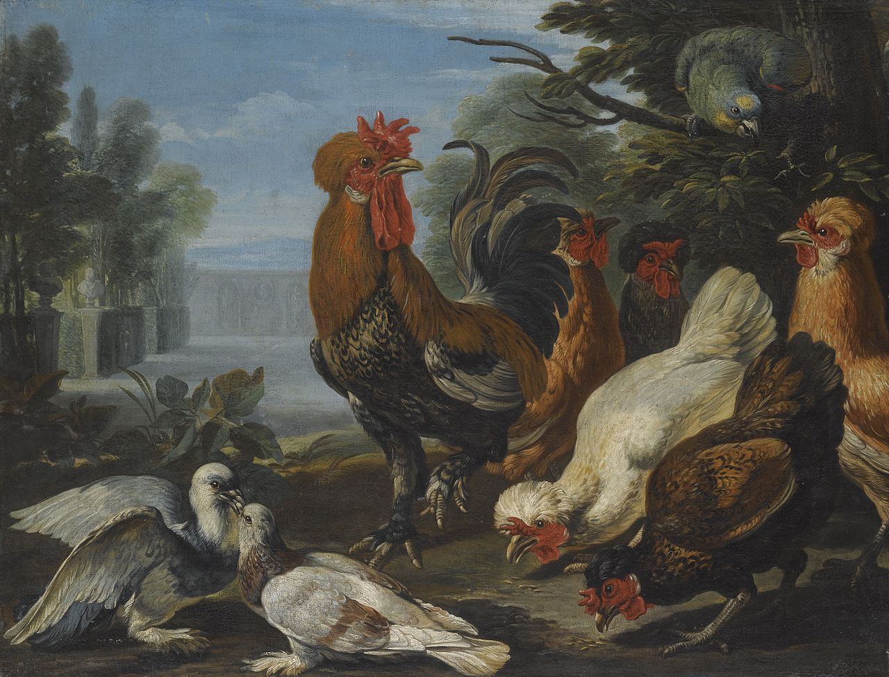 A Cockerel, Hens, Doves and a Parrot, vintage artwork by David de Coninck, 12x8" (A4) Poster