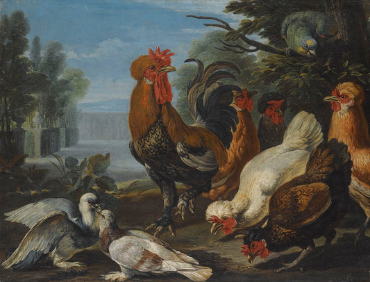 A Cockerel, Hens, Doves and a Parrot, vintage artwork by David de Coninck, 12x8" (A4) Poster