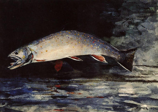 A Brook Trout, vintage artwork by Winslow Homer, 12x8" (A4) Poster