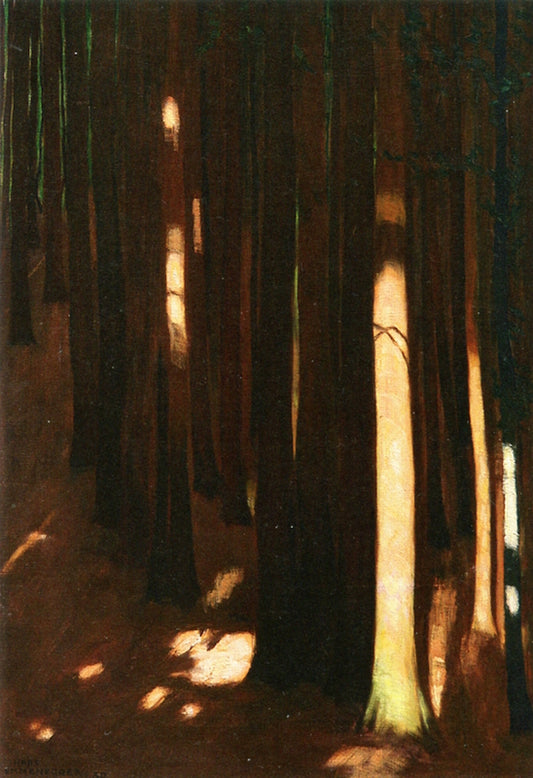 Spruce Forest by Hans Emmenegger,A3(16x12")Poster