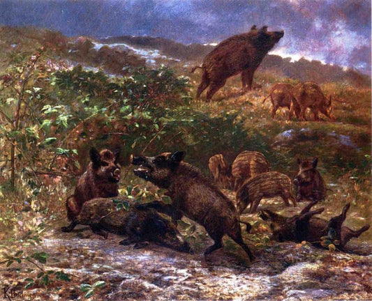 A Family of Wild Boar, vintage artwork by Karl Bodmer, A3 (16x12") Poster Print