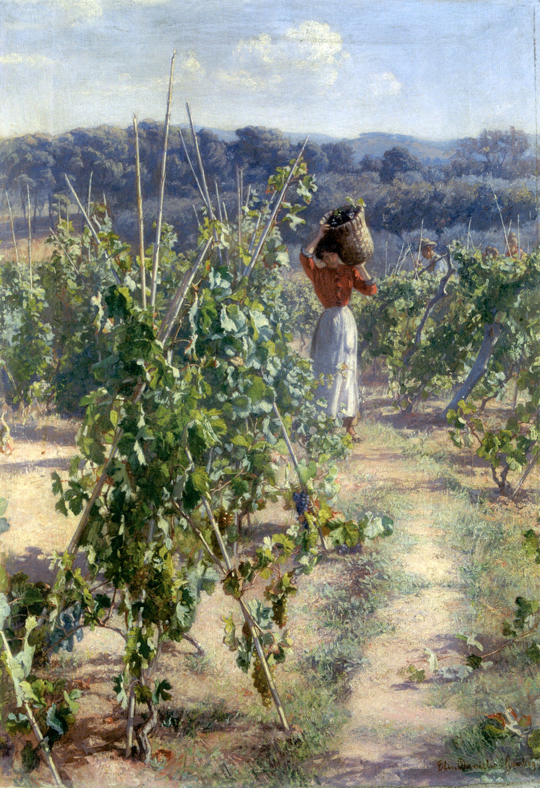 Grape harvesting by Elin Kleopatra Danielson-Gambogi,A3(16x12")Poster