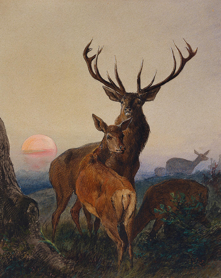 A Stag With Deer In A Wooded Landscape At Sunset, vintage artwork by Carl Friedrich Deiker, 12x8" (A4) Poster