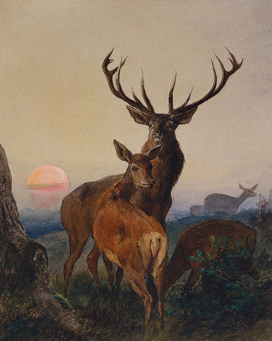 A Stag With Deer In A Wooded Landscape At Sunset, vintage artwork by Carl Friedrich Deiker, 12x8" (A4) Poster