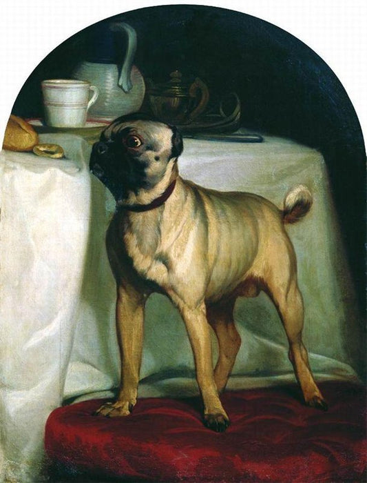 Pug, vintage artwork by Nikolai Sverchkov, A3 (16x12") Poster Print