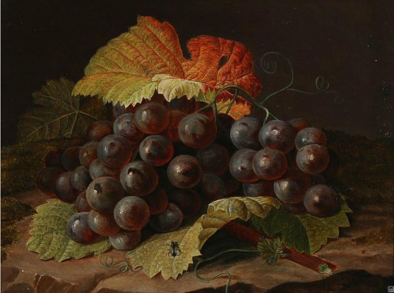 A cluster of blue grapes, vintage artwork by Johan Laurentz (J.L.) Jensen, A3 (16x12") Poster Print