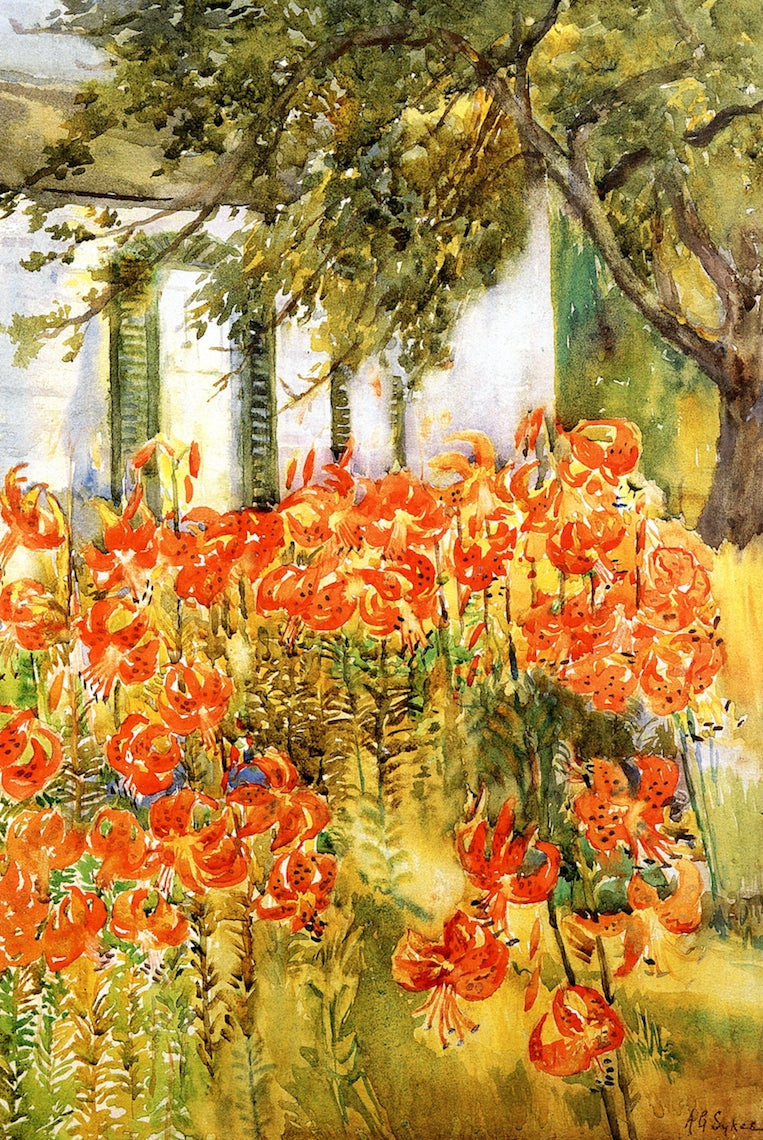 Day Lilies, Gloucester, Massachusetts, vintage artwork by Annie G. Sykes, 12x8" (A4) Poster