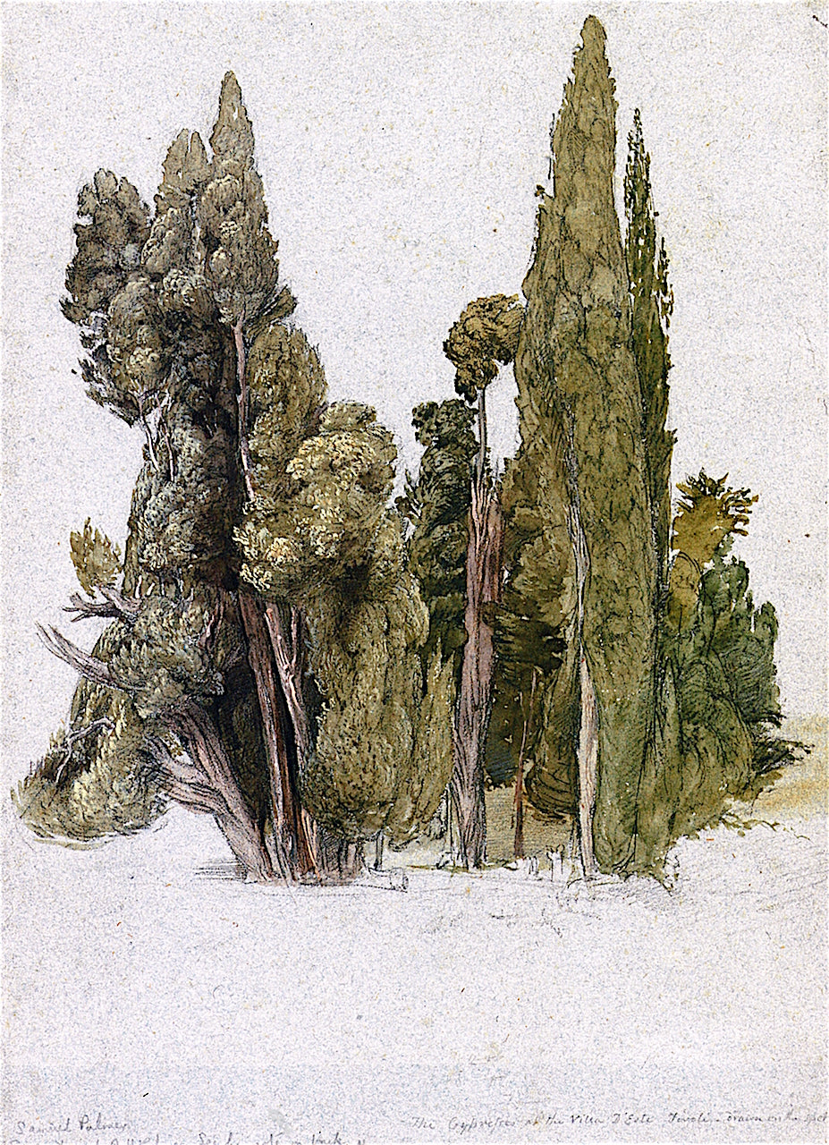 The Cypresses at the Villa d'Este, vintage artwork by Samuel Palmer, A3 (16x12") Poster Print
