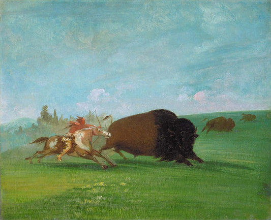 Buffalo Chase, a Single Death, vintage artwork by George Catlin, A3 (16x12") Poster Print