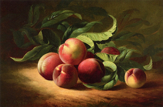 Peach Branch, vintage artwork by Andrew J. H. Way, 12x8" (A4) Poster