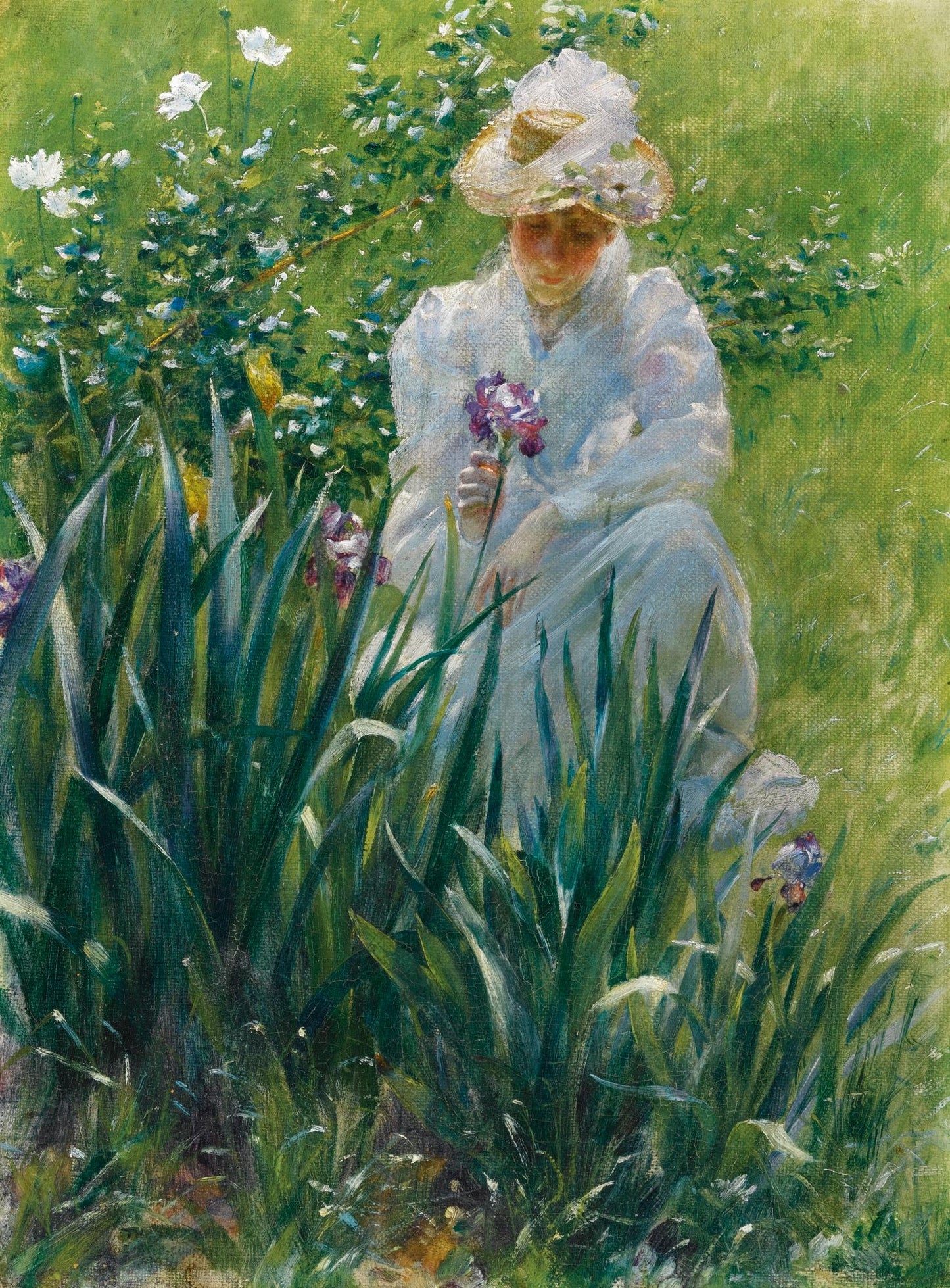 The Iris Bed, vintage artwork by Charles Courtney Curran, 12x8" (A4) Poster
