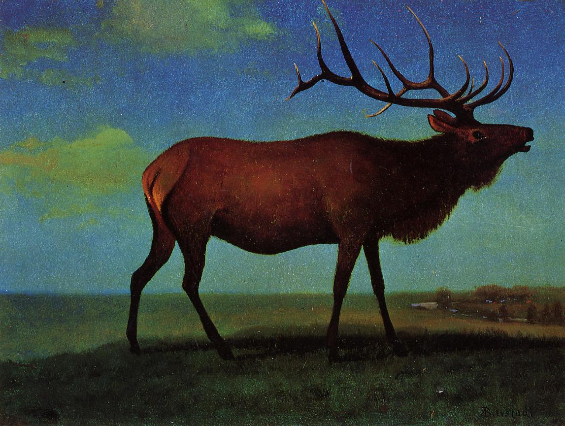 Elk, vintage artwork by Albert Bierstadt, 12x8" (A4) Poster