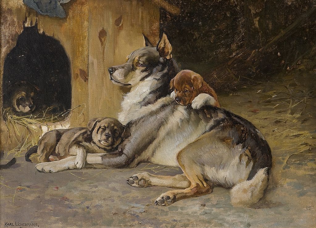 Norwegian Elkhound with Puppies, vintage artwork by Karl Kristian Uchermann, 12x8" (A4) Poster