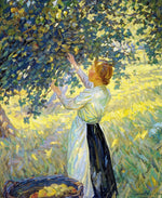 The Apple Gatherer by Helen Galloway McNicoll,16x12(A3) Poster