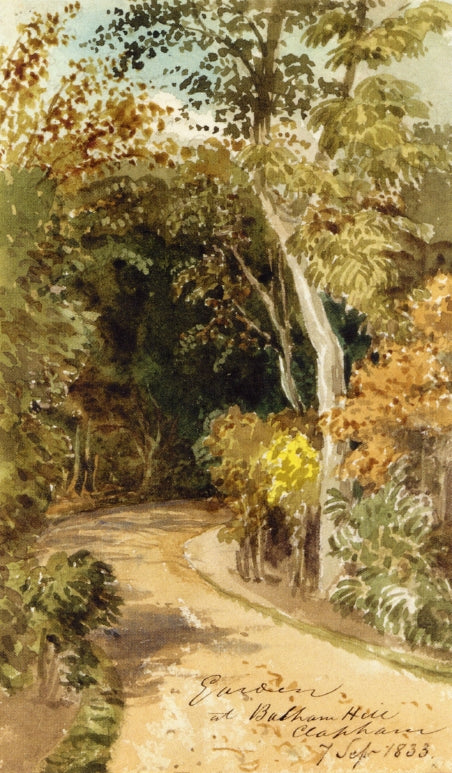 Study of Trees in South-West London, vintage artwork by Thomas Lindsay, A3 (16x12") Poster Print