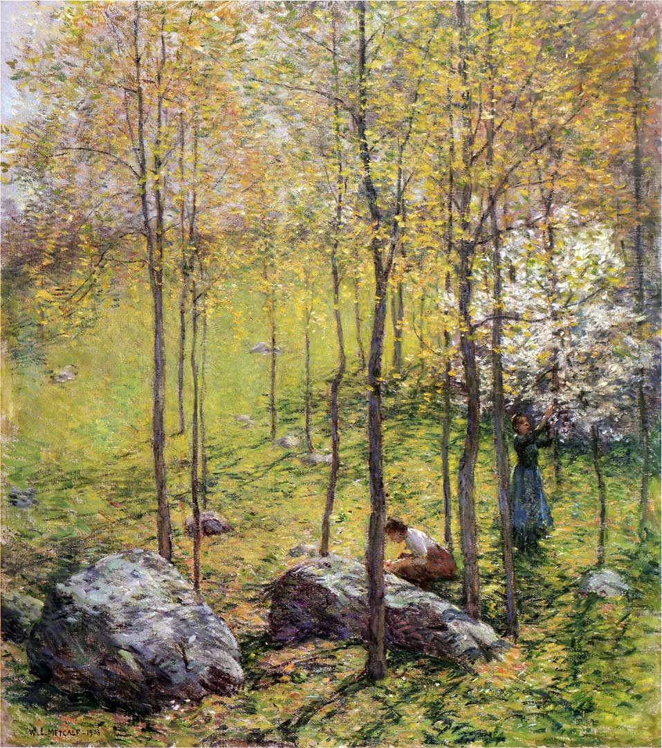 Dogwood Blossoms, vintage artwork by Willard Leroy Metcalf, 12x8" (A4) Poster