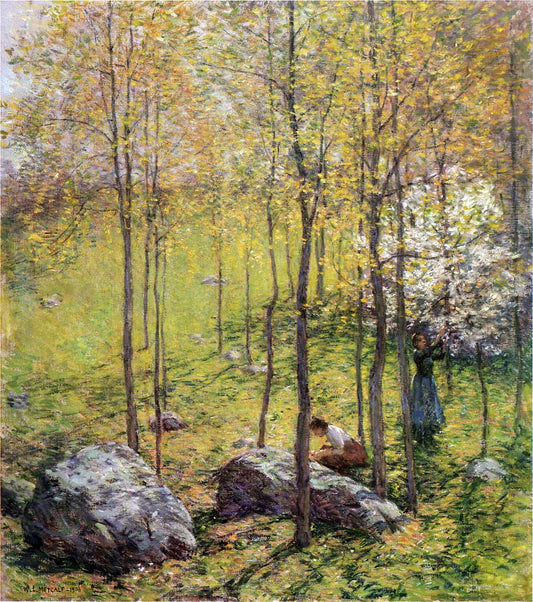 Dogwood Blossoms, vintage artwork by Willard Leroy Metcalf, 12x8" (A4) Poster