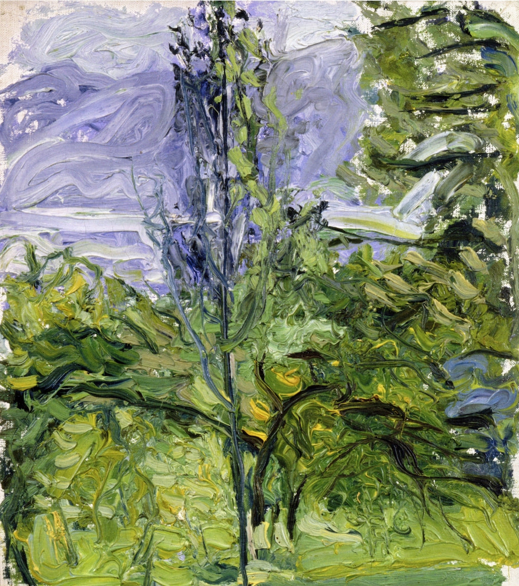 Small Landscape at Traunsee by Richard Gerstl,16x12(A3) Poster