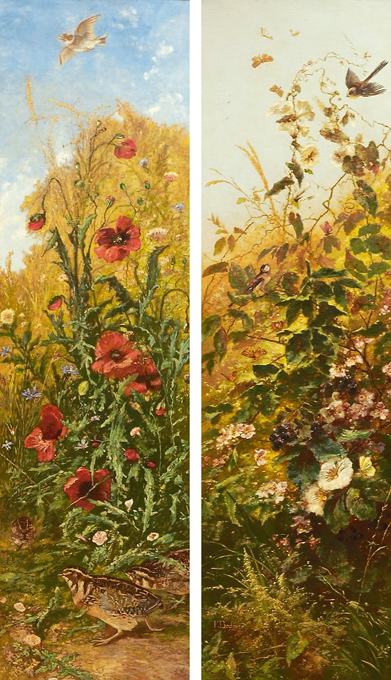 Flowers, birds and butterflies, vintage artwork by Karl Bodmer, A3 (16x12") Poster Print