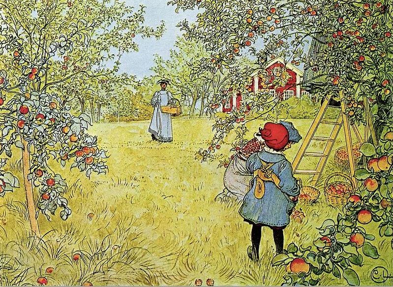 The Apple Harvest, vintage artwork by Carl Larsson, 12x8" (A4) Poster