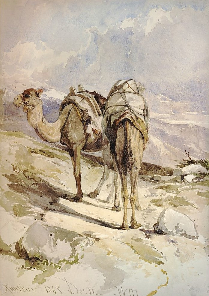 Baggage Camels, Xanthus, vintage artwork by William James Müller, A3 (16x12") Poster Print
