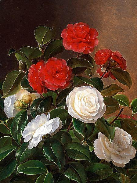 Red and white camellia, vintage artwork by Johan Laurentz (J.L.) Jensen, A3 (16x12") Poster Print