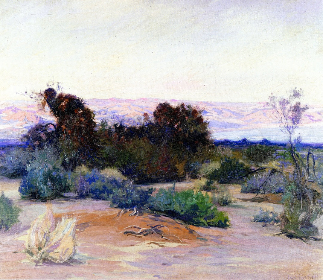 Mojave Desert by John Frost,16x12(A3) Poster
