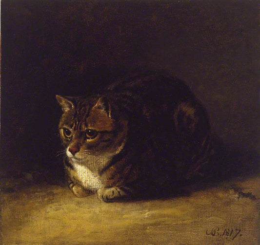 Study of a Cat, vintage artwork by Abraham Cooper, 12x8" (A4) Poster